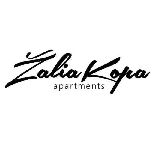 Zalia Kopa Apartamentai Salia Juros Παλάγκα Εξωτερικό φωτογραφία